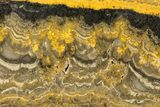 Polished Bumblebee Jasper Slab - Indonesia #336969-1